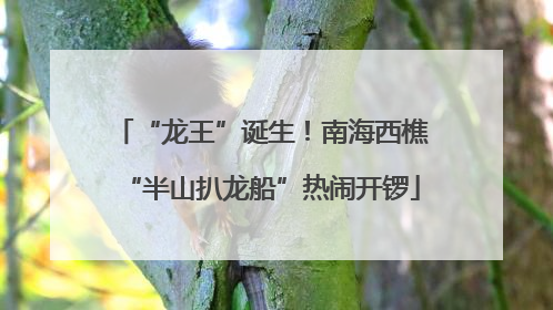 “龙王”诞生！南海西樵“半山扒龙船”热闹开锣