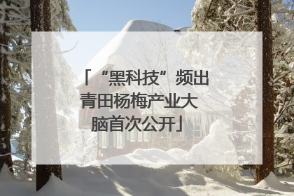 “黑科技”频出 青田杨梅产业大脑首次公开