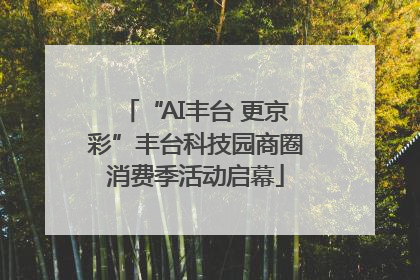 “AI丰台 更京彩”丰台科技园商圈消费季活动启幕