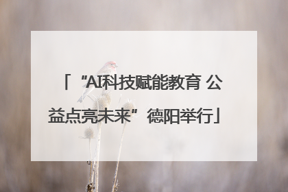 “AI科技赋能教育 公益点亮未来”德阳举行