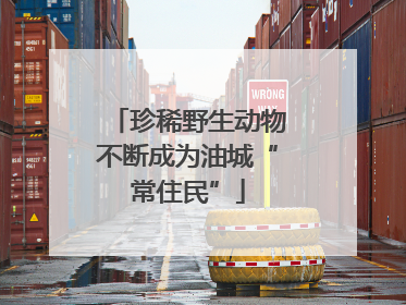 珍稀野生动物不断成为油城“常住民”