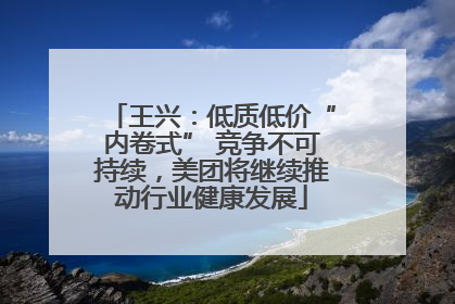 王兴：低质低价“内卷式” 竞争不可持续，美团将继续推动行业健康发展