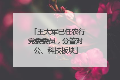 王大军已任农行党委委员，分管对公、科技板块