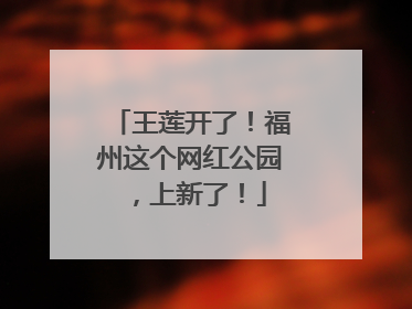 王莲开了！福州这个网红公园，上新了！