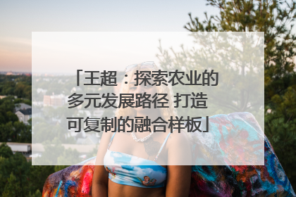 王超：探索农业的多元发展路径 打造可复制的融合样板
