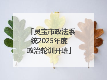 灵宝市政法系统2025年度政治轮训开班
