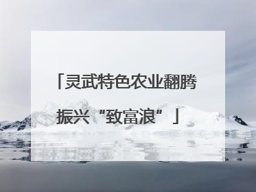 灵武特色农业翻腾振兴“致富浪”