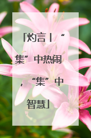 灼言丨“集”中热闹，“集”中智慧