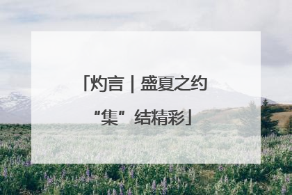 灼言｜盛夏之约 “集”结精彩