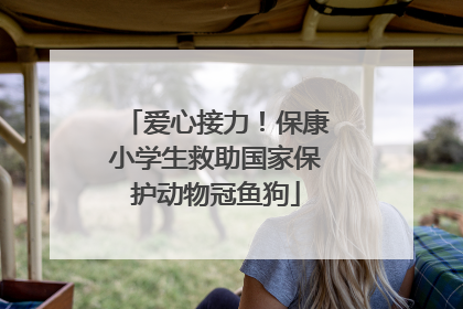 爱心接力！保康小学生救助国家保护动物冠鱼狗