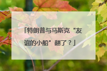 特朗普与马斯克“友谊的小船”翻了？