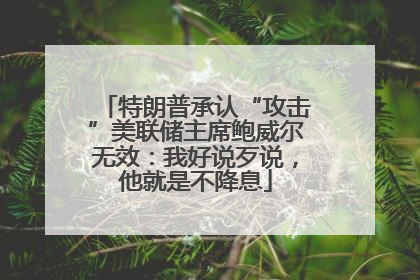 特朗普承认“攻击”美联储主席鲍威尔无效：我好说歹说，他就是不降息