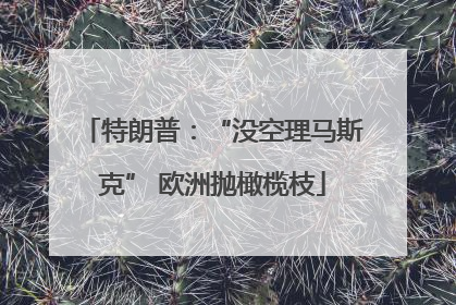 特朗普：“没空理马斯克” 欧洲抛橄榄枝