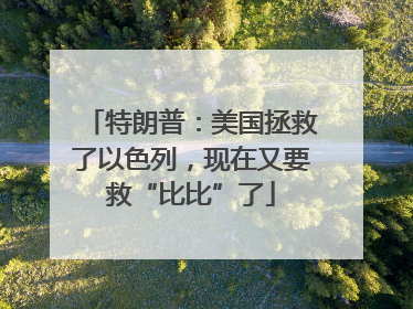 特朗普：美国拯救了以色列，现在又要救“比比”了
