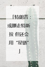 特朗普：或挪走特斯拉 但还会用“星链”