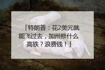 特朗普：花2美元就能飞过去，加州修什么高铁？浪费钱！