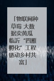 物联网种草莓 大数据卖黄瓜 临沂“四雁孵化”工程链动乡村共富