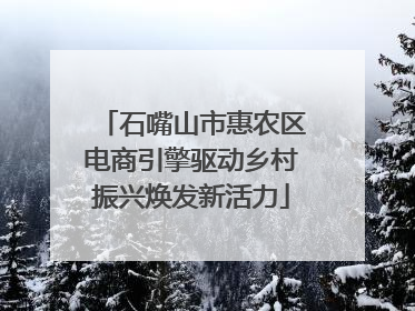 石嘴山市惠农区电商引擎驱动乡村振兴焕发新活力