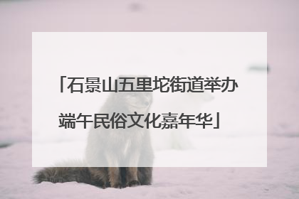 石景山五里坨街道举办端午民俗文化嘉年华