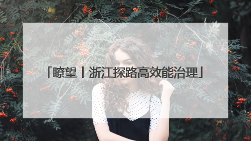 瞭望丨浙江探路高效能治理