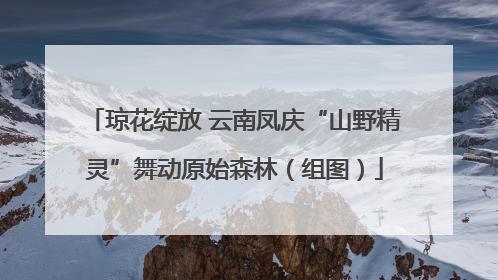 琼花绽放 云南凤庆“山野精灵”舞动原始森林（组图）