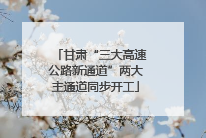 甘肃“三大高速公路新通道”两大主通道同步开工