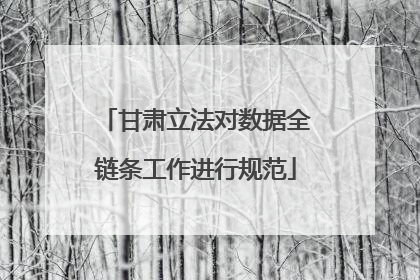 甘肃立法对数据全链条工作进行规范