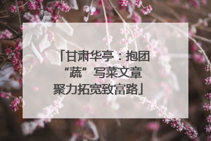 甘肃华亭：抱团“蔬”写菜文章 聚力拓宽致富路