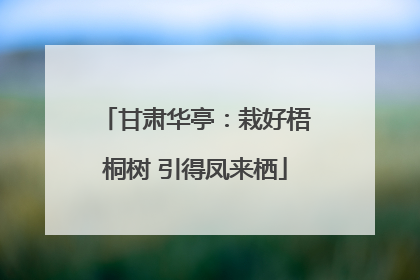 甘肃华亭：栽好梧桐树 引得凤来栖