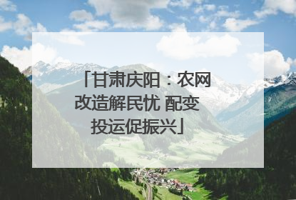 甘肃庆阳：农网改造解民忧 配变投运促振兴