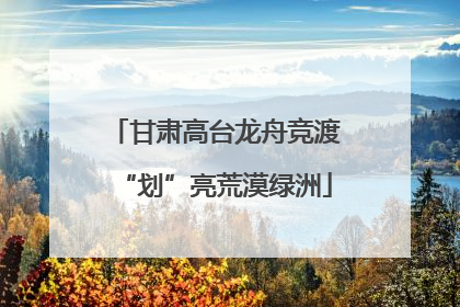 甘肃高台龙舟竞渡“划”亮荒漠绿洲