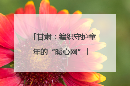 甘肃：编织守护童年的“暖心网”