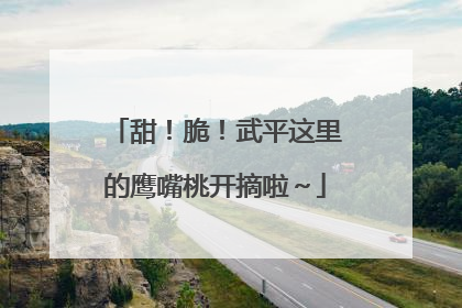 甜！脆！武平这里的鹰嘴桃开摘啦～