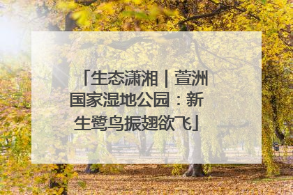 生态潇湘｜萱洲国家湿地公园：新生鹭鸟振翅欲飞