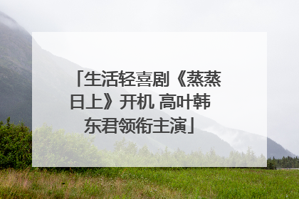生活轻喜剧《蒸蒸日上》开机 高叶韩东君领衔主演