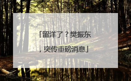 留洋了？樊振东，突传重磅消息