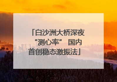 白沙洲大桥深夜“测心率” 国内首创稳态激振法