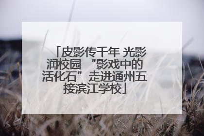 皮影传千年 光影润校园 “影戏中的活化石”走进通州五接滨江学校