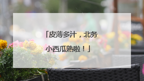 皮薄多汁，北务小西瓜熟啦！