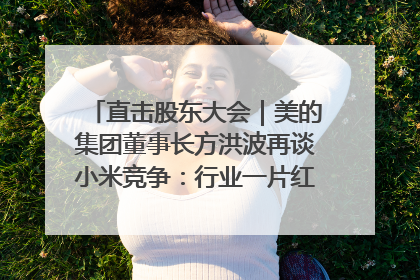 直击股东大会｜美的集团董事长方洪波再谈小米竞争：行业一片红海，打法已固定，无论谁胜都是消耗战
