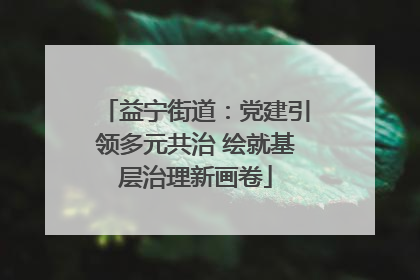 益宁街道：党建引领多元共治 绘就基层治理新画卷