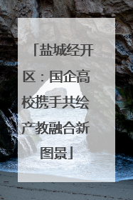 盐城经开区：国企高校携手共绘产教融合新图景