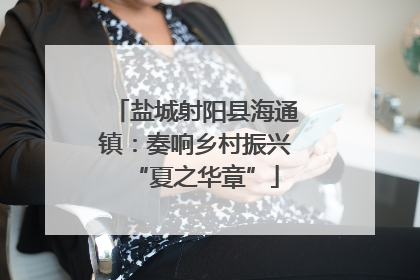 盐城射阳县海通镇：奏响乡村振兴“夏之华章”