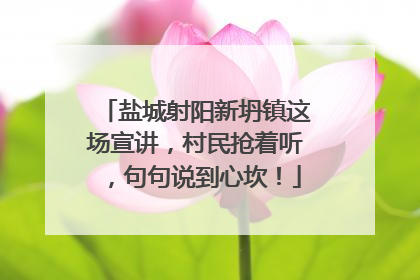 盐城射阳新坍镇这场宣讲，村民抢着听，句句说到心坎！