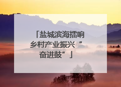 盐城滨海擂响乡村产业振兴“奋进鼓”