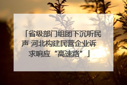 省级部门组团下沉听民声 河北构建民营企业诉求响应“高速路”