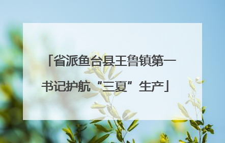 省派鱼台县王鲁镇第一书记护航“三夏”生产