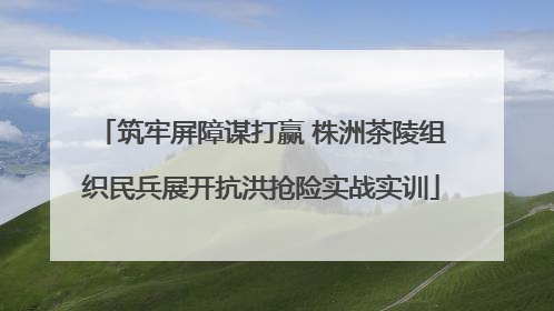 筑牢屏障谋打赢 株洲茶陵组织民兵展开抗洪抢险实战实训
