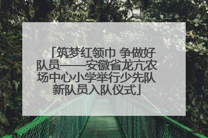 筑梦红领巾 争做好队员——安徽省龙亢农场中心小学举行少先队新队员入队仪式