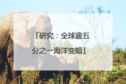 研究：全球逾五分之一海洋变暗